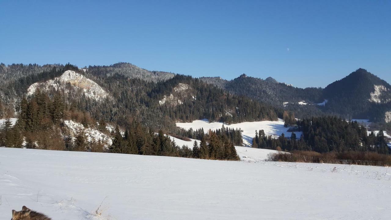 Pokoje U Pitera Sromowce Wyzne Exterior foto